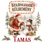 Névre szóló Mikulászsák – Különleges küldemény
