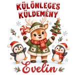Névre szóló Mikulászsák – Különleges küldemény, rénszarvas és pingvinek