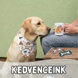 - Kedvencek&Gazdik